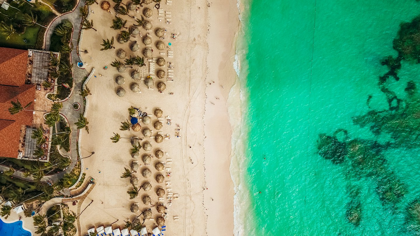 Aerial view of a tropical beach resort with palm trees and sunbathers.